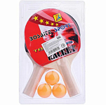 Набор для настольного тенниса (2 ракетки, сетка, 3 шарика) на листе 00-5691 Код: 473517
