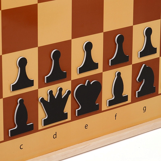 Демонстрационные шахматы магнитные (поле 61 х 61 см, фигуры полимер, король 6.3 см) 2821423