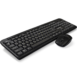 Клавиатура+мышь БП EXEGATE Professional Standard Combo MK240 EX286220RUS