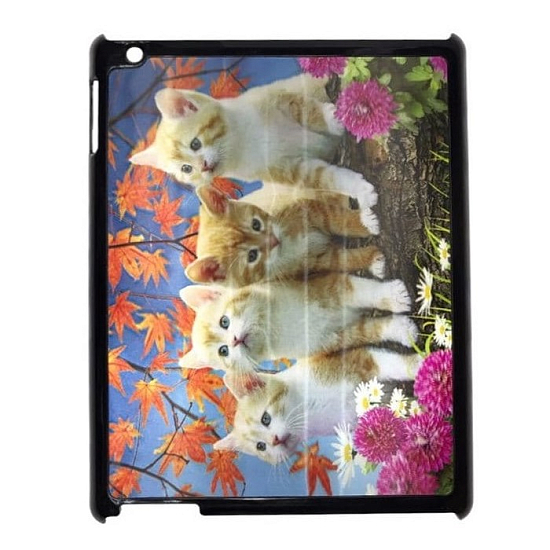 Задняя накладка 3D голограмма для iPad (002)