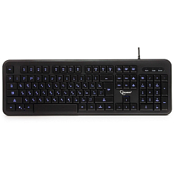 Клавиатура GEMBIRD KB-200L черная, USB (Уценка)