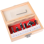 Набор фрез по дереву 6шт.(хвостовик 8мм), кейс ВИХРЬ 73/10/6/20