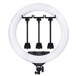 Светодиодное кольцо-подсветка 55 см 22" ZB-F488 80W