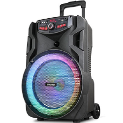 Колонка портативная BLACKTON Bt PBS2113 Черный