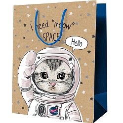 Пакет подарочный 18*23*10см MESHU "Космический кот", крафт MS_52241