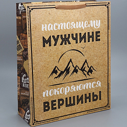 Пакет подарочный «Для настоящего мужчины», 40 х 49 х 15 см