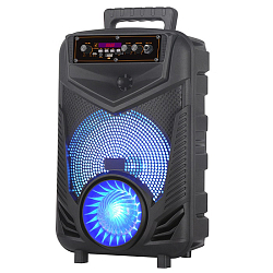 Колонка портативная NDR-P44, черная