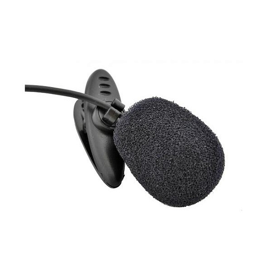 Микрофон RITMIX RCM-101