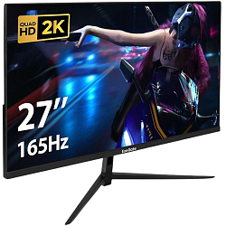 Монитор игровой 27" ExeGate Combat EG2700A (IPS/ 2560x1440/ 165 Гц) (EX297305RUS), чёрный