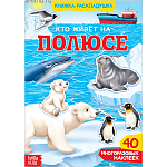 Книга с наклейками «Кто живёт на полюсе», 40 наклеек