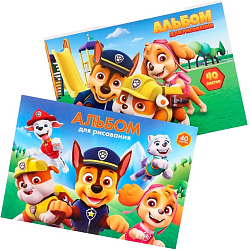 Набор альбомов для рисования 40 листов, 2 штуки, Paw Patrol 10716749