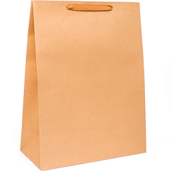 Пакет крафт без печати, 38×50×18 см 210 г 10420689