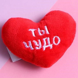 Мягкий магнит «Ты чудо»