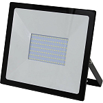 Прожектор светодиодный SMARTBUY 100W/6500K/IP65 (SBL-FLLight-100-65K)