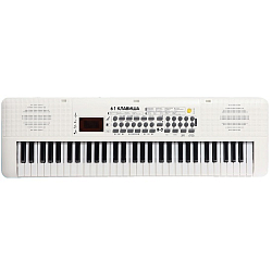 Синтезатор детский «Клавишник», звуковые эффекты, 61 клавиша 10135653