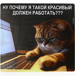 Коврик NONAME «Красивые тоже работают», 22×20 см