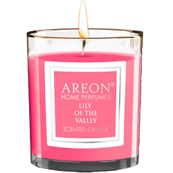 Ароматическая свеча AREON Under the Mystic Tree, 120гр