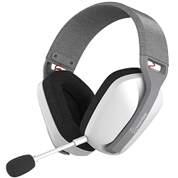 Наушники SMARTBUY DESTROYER 2, бело-серые(SBHG150), Type-C