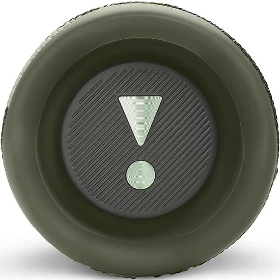 Колонка портативная JBL Flip 6 Squad