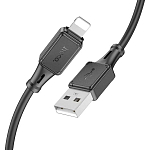 Кабель USB <--> Lightning  1.0м HOCO X101 Assistant, серый