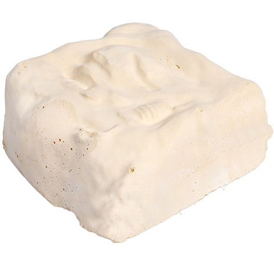 Раскопки "Юрские сокровища" (10 артефактов) УТМ01477521