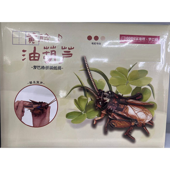 Пазл-3D трехмерная головоломка-модель насекомого Цикада