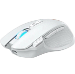 Мышь JETACCESS PANTEON PS93 W Pro White