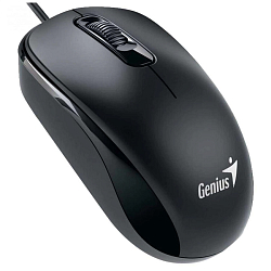 Мышь GENIUS DX-120 Black (DR31010105100)