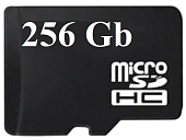 Micro SD 256Gb