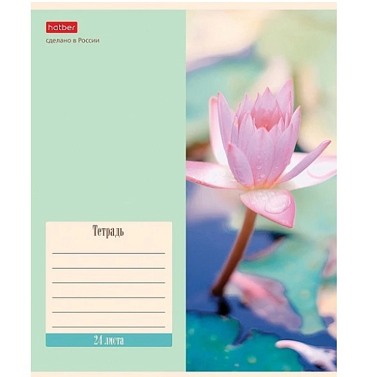 Тетрадь 24л., линия Hatber "Flowers" 24Т5В2