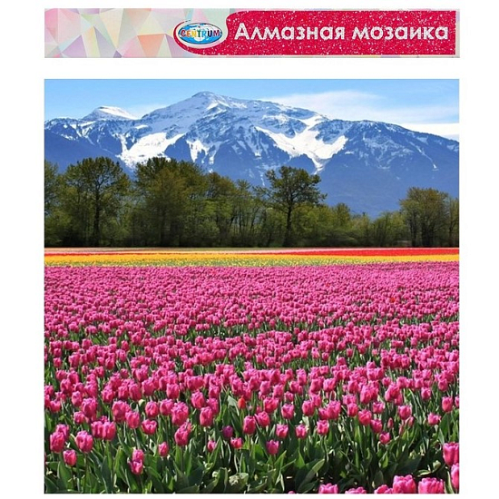 Алмазная мозаика «Горный пейзаж» 40 × 50 см