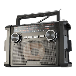 Радиоприемник SOUNDMAX SM-RD2120UB