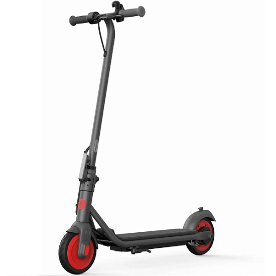 Электросамокат Ninebot KickScooter C20, светло-серый