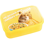 Ланч - бокс прямоугольный «Не вешай лапшу на уши», 1200 мл 7509338