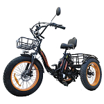 Электровелосипед Kugoo Trike 750W 48V 15.6Ah