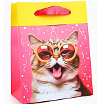 Пакет «Котик», MS 18 х 23 х 10 см 10364414