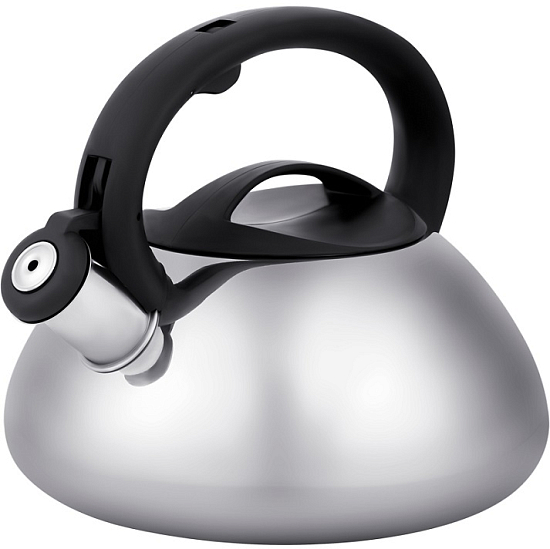 Чайник со свистком REGENT TEA 86-102, 3л