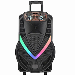 Портативная беспроводная колонка NDR-W1012