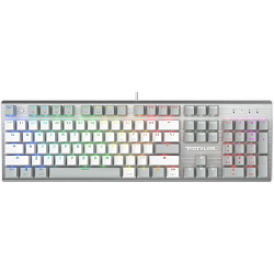 Клавиатура A4TECH Fstyler FS100 Neon, серый/белый