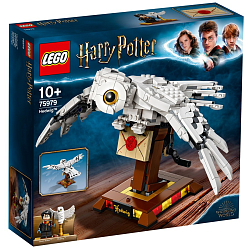 Конструктор LEGO Harry Potter 75979 Букля