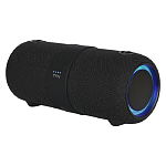 Колонка портативная TFN Beat, чёрный (TFN-BS11-01BK)