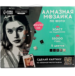 Алмазная мозаика по фото с полным заполнением «Gray», на холсте с подрамником, 40×50 см