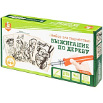 Набор для выжигания по дереву (аппарат с насадками, доски 5 шт.) 7748639