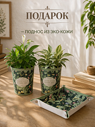 Набор кашпо зеленые цветы 2 шт. + салфетница зеленая 1 шт. (уп.18х13х13)