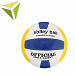 Волейбольные мячи