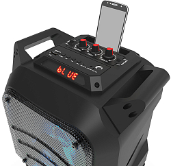 Колонка портативная RITMIX SP-850B black