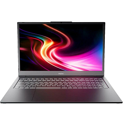 Ноутбук 17.3" Haier AX1750SD JB0B14000RU (AMD Ryzen 5 5500U (2.1 ГГц)/ RAM 16 GB/ SSD 512 GB) (6974511791549), Серый,