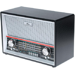 Радиоприёмник RITMIX RPR-102 Black