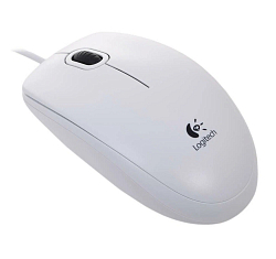 Мышь LOGITECH B100 White USB