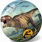 Мяч "Динозавры", 23 см STAR 11/2961